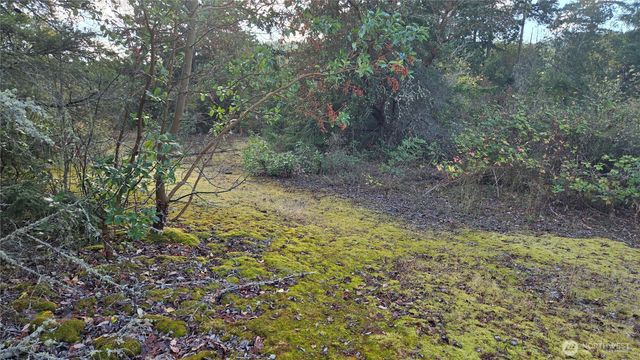 7701 NHN State Route 20, Anacortes, WA 98221