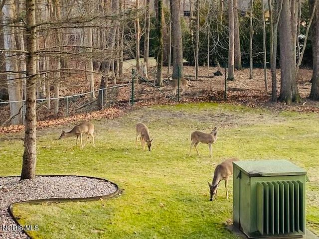 5679 Monroe Street, 1004, Sylvania, OH 43560