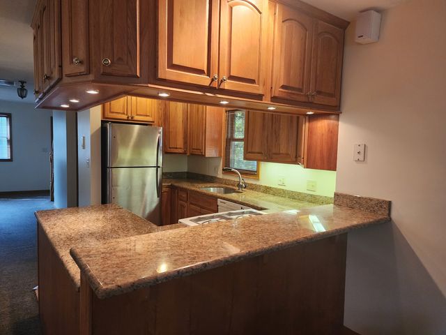 726 W 17th Street 2, Chicago, IL 60616