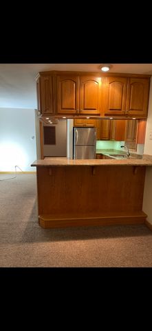 726 W 17th Street 2, Chicago, IL 60616