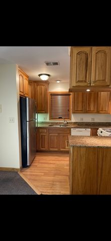 726 W 17th Street 2, Chicago, IL 60616