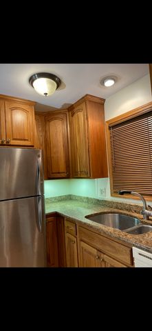 726 W 17th Street 2, Chicago, IL 60616