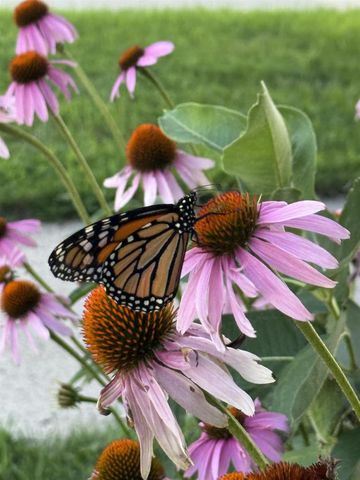 702 W 20TH AVENUE, Oshkosh, WI 54902