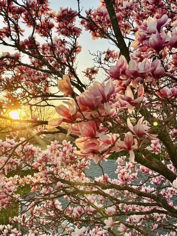 702 W 20TH AVENUE, Oshkosh, WI 54902