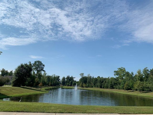 22019 Flashing Ridge Drive, Spring, TX 77389