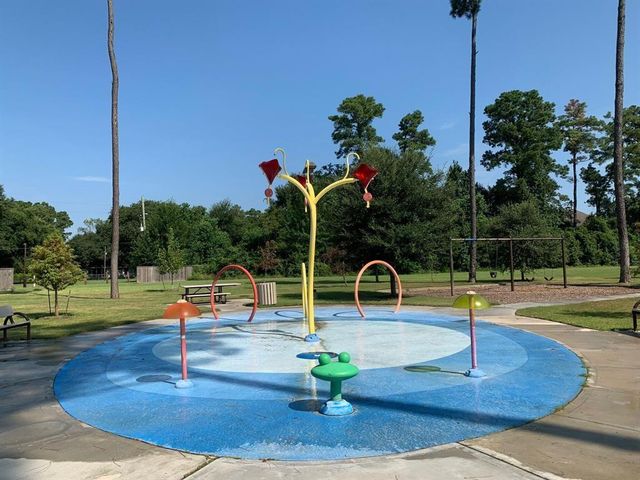 22019 Flashing Ridge Drive, Spring, TX 77389