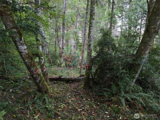 12727 96th Court, Anderson Island, WA 98303