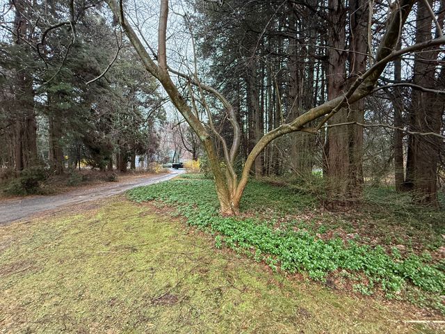 217 Danbury Road, Ridgefield, CT 06877