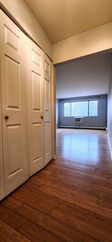 5306 N Cumberland Avenue 507, Chicago, IL 60656