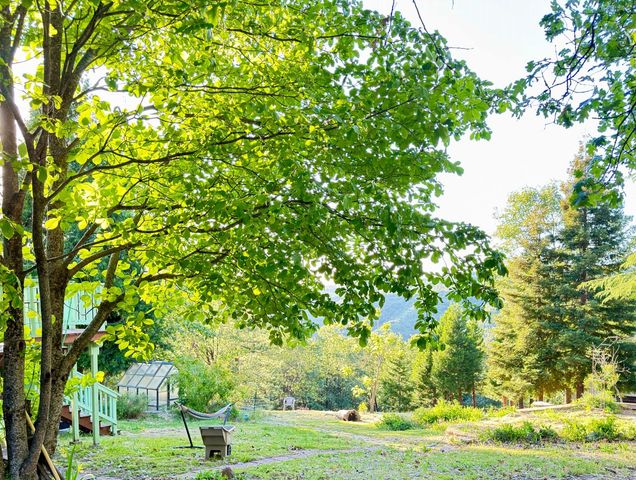 3887 Northwood Dr, Murphys, CA 95247