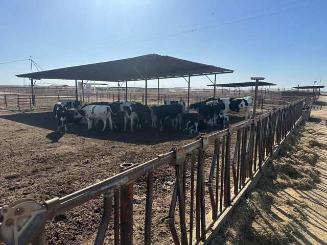 10255 W Manning Avenue, Fresno, CA 93706