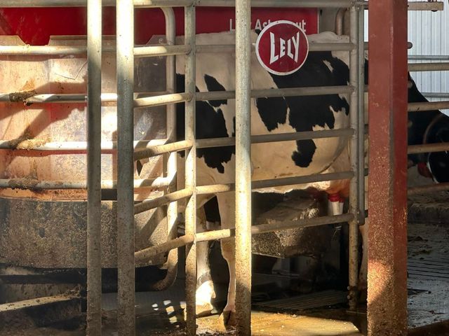 10255 W Manning Avenue, Fresno, CA 93706