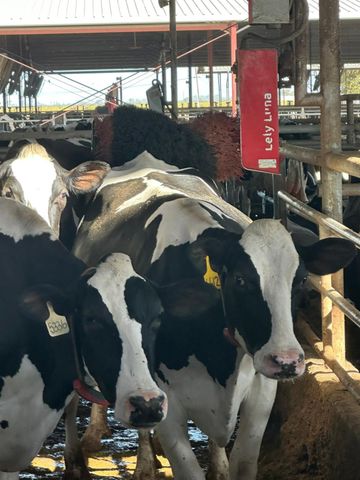 10255 W Manning Avenue, Fresno, CA 93706