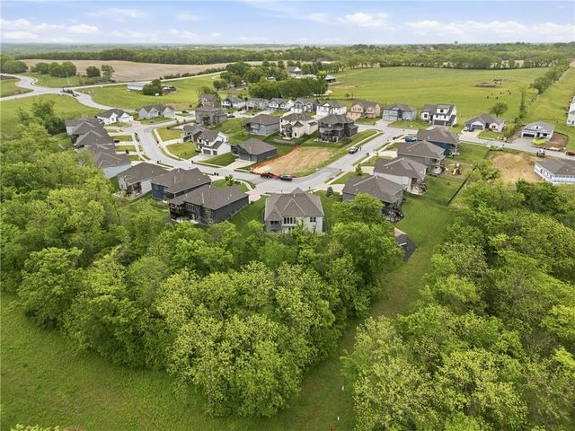 4601 NW 141st Terrace, Platte City, MO 64079