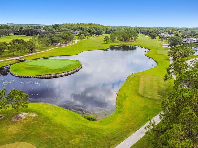 4207 ARBORWOOD LANE, Tampa, FL 33618