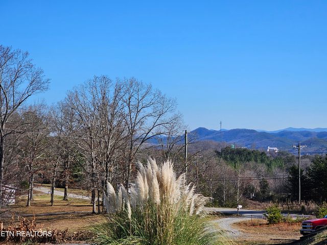 576 Mecca Pike, Tellico Plains, TN 37385