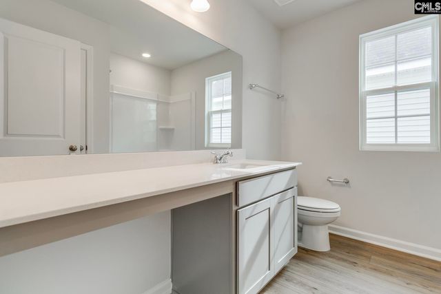 629 Clementine Run, Gilbert, SC 29054