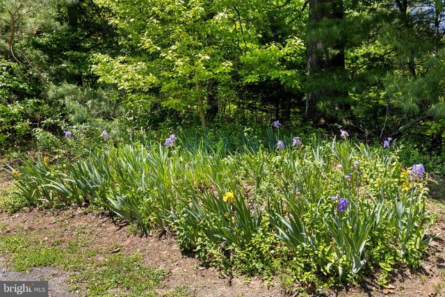 105 SWINDLER HOLLOW RD, Sperryville, VA 22740