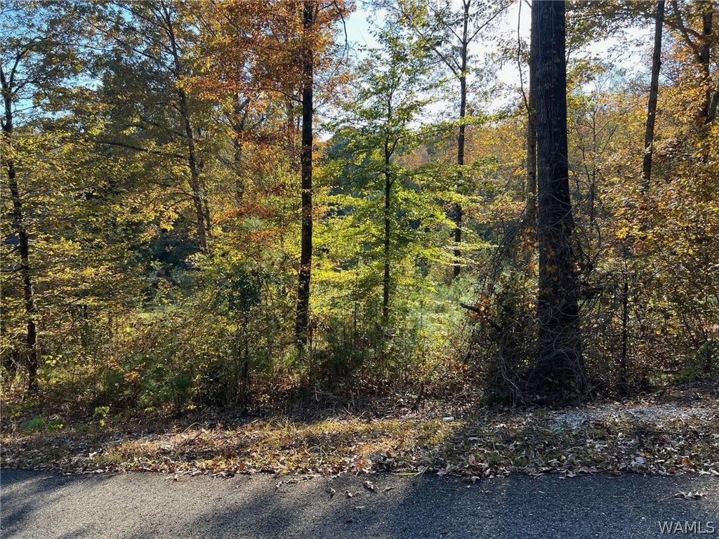 Lot 8 ALLISON, Mccalla, AL 35111