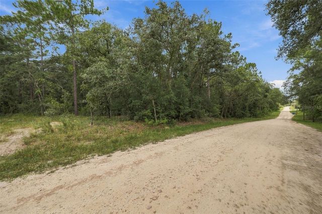 ELAINE DRIVE, Webster, FL 33597