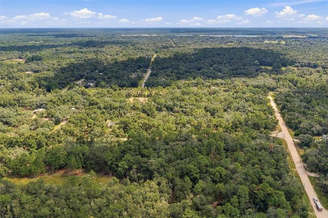 ELAINE DRIVE, Webster, FL 33597