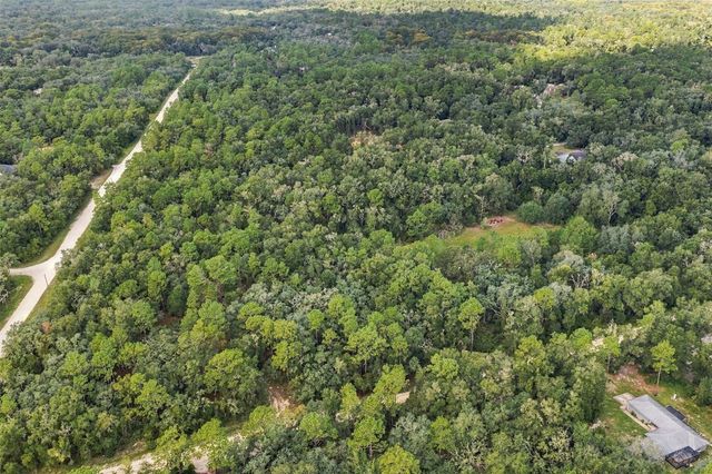 ELAINE DRIVE, Webster, FL 33597