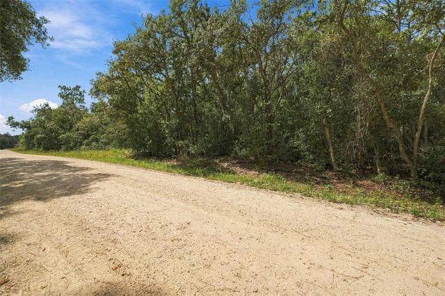 ELAINE DRIVE, Webster, FL 33597