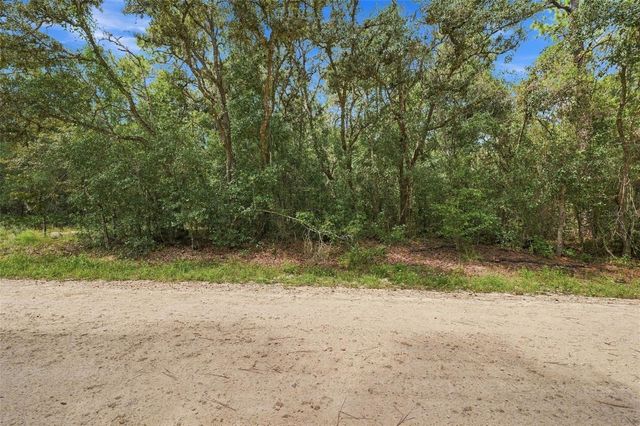 ELAINE DRIVE, Webster, FL 33597