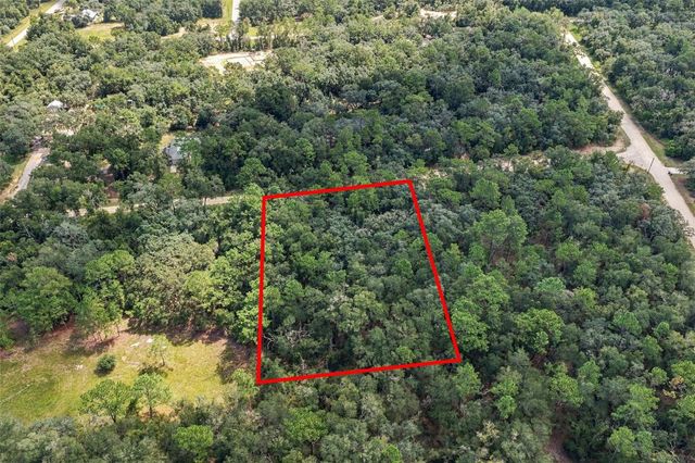 ELAINE DRIVE, Webster, FL 33597