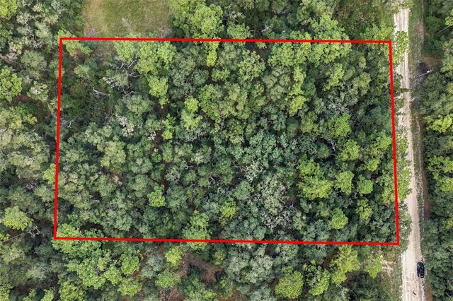 ELAINE DRIVE, Webster, FL 33597