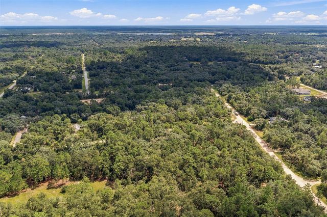 ELAINE DRIVE, Webster, FL 33597