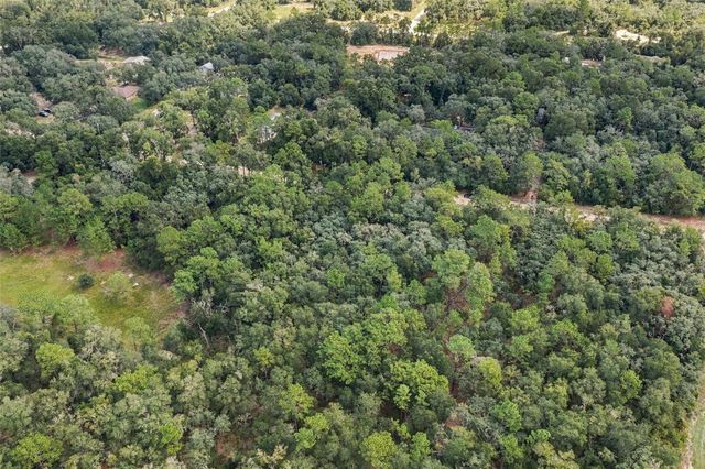 ELAINE DRIVE, Webster, FL 33597