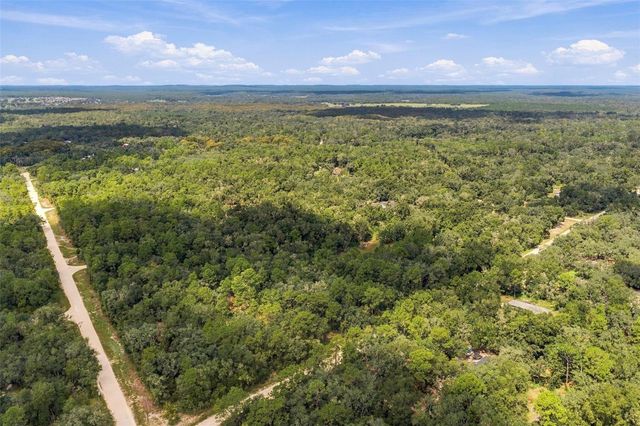 ELAINE DRIVE, Webster, FL 33597
