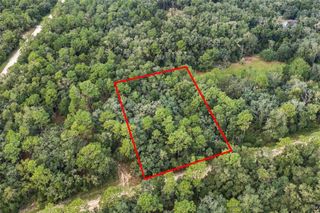 ELAINE DRIVE, Webster, FL 33597