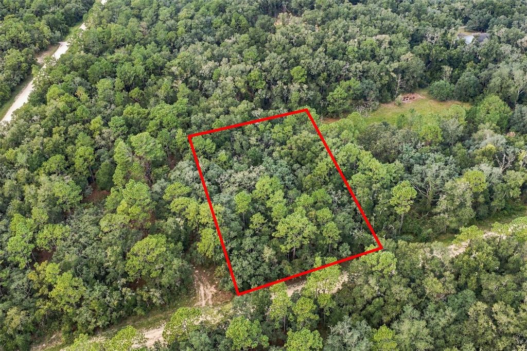 ELAINE DRIVE, Webster, FL 33597