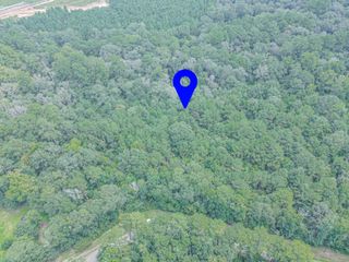 0 Peach Creek Drive, Conroe, TX 77303