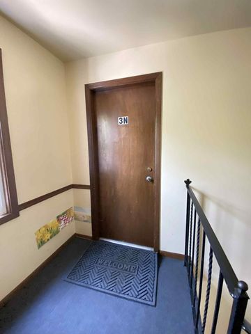 919 S Carpenter Street 3N, Chicago, IL 60607