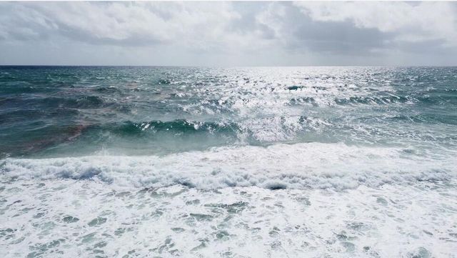 1043 HILLSBORO MILE 21C, Hillsboro Beach, FL 33062