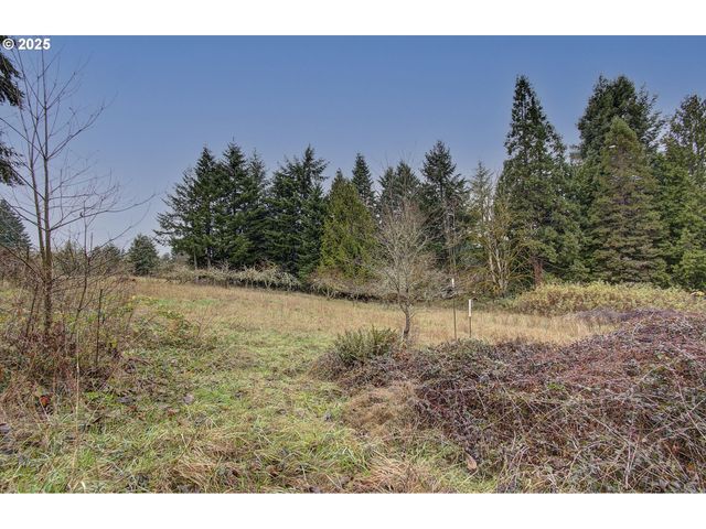 19409 Ne MATTSON Rd, Brush Prairie, WA 98606