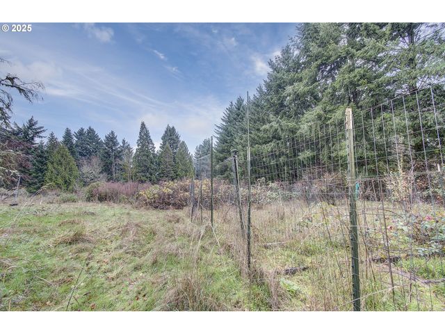 19409 Ne MATTSON Rd, Brush Prairie, WA 98606