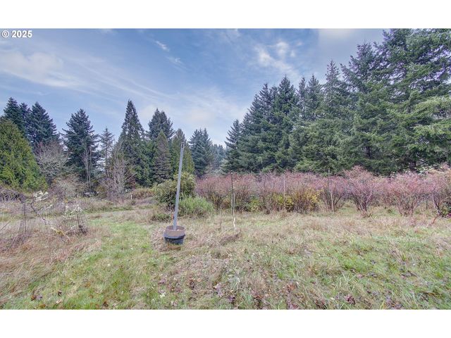 19409 Ne MATTSON Rd, Brush Prairie, WA 98606
