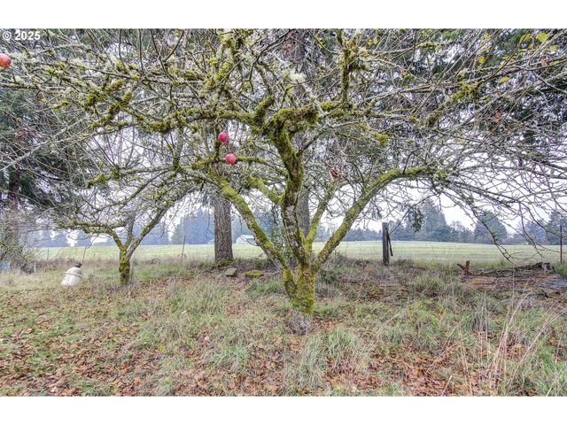 19409 Ne MATTSON Rd, Brush Prairie, WA 98606