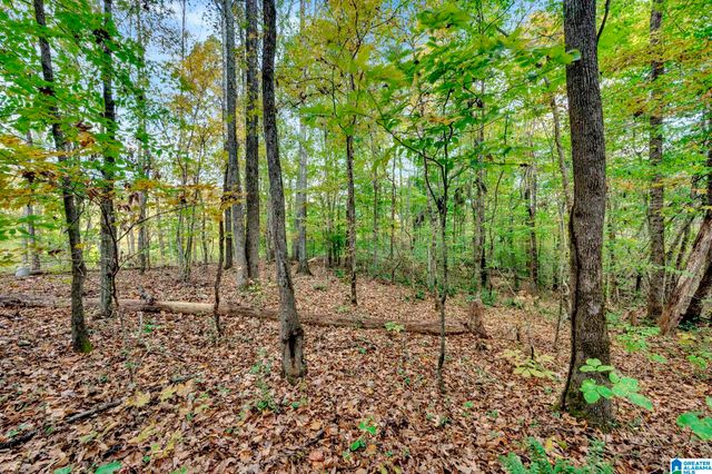 4501 MCGILL TERRACE, Hoover, AL 35226