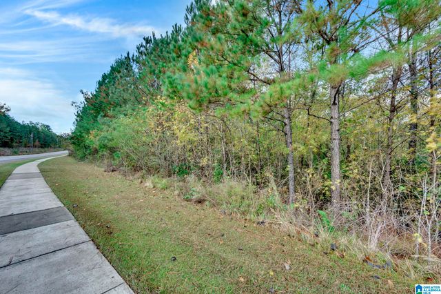 4501 MCGILL TERRACE, Hoover, AL 35226