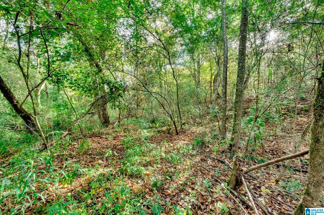 4501 MCGILL TERRACE, Hoover, AL 35226