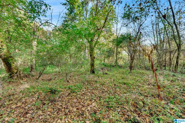 4501 MCGILL TERRACE, Hoover, AL 35226