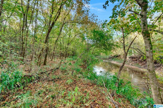 4501 MCGILL TERRACE, Hoover, AL 35226