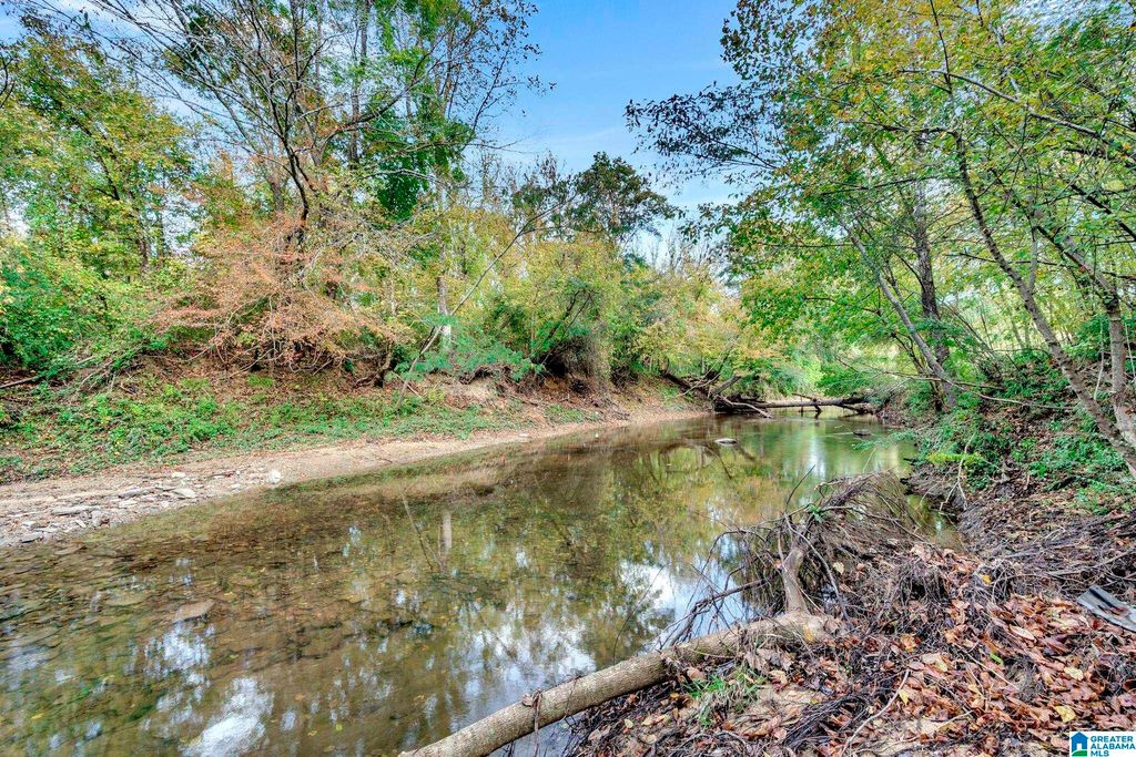 4501 MCGILL TERRACE, Hoover, AL 35226