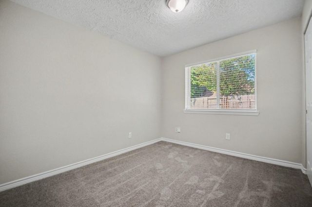 12843 Bamboo Forest Trail, Houston, TX 77044