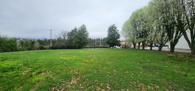 111 W Webb St, Smithville, TN 37166